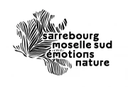 logo de Office de Tourisme Sarrebourg Moselle Sud