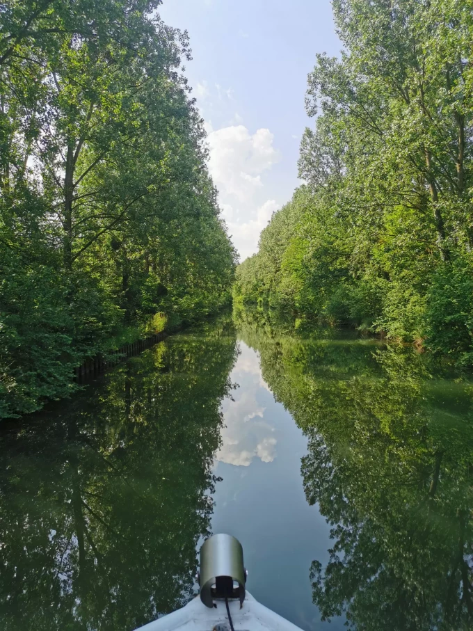 Entre le vert et le bleu